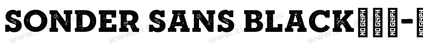 Sonder Sans Black免费下字体转换